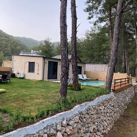 Misa Villa