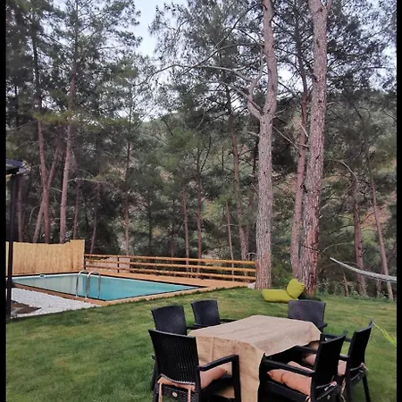Misa Villa *