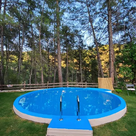 Villa Misa *