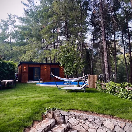 Misa Villa