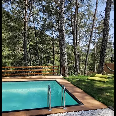Misa Villa *