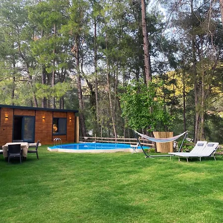 Misa Villa